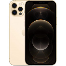 Смартфон Apple iPhone 12 Pro 256GB Gold (MGMC3J/A)
