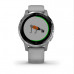 Спортивные наручные часы Garmin Vivoactive 4S 010-02172-02